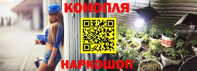 PSILOCYBIN Будённовск